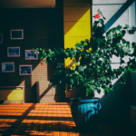 Capture | Sundowners skylights